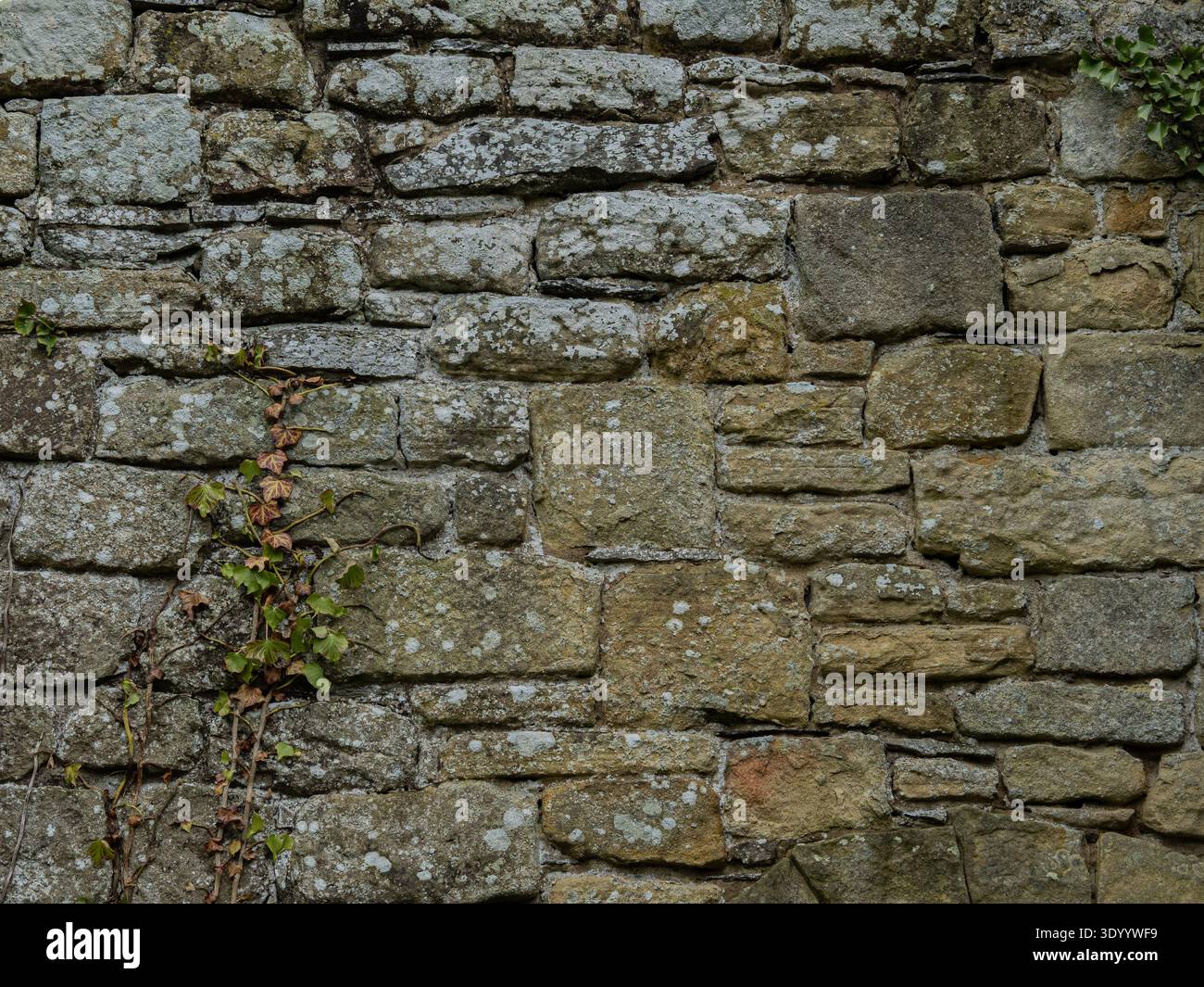 Ancient limestone block wall texture with natural stone masonry pattern ...
