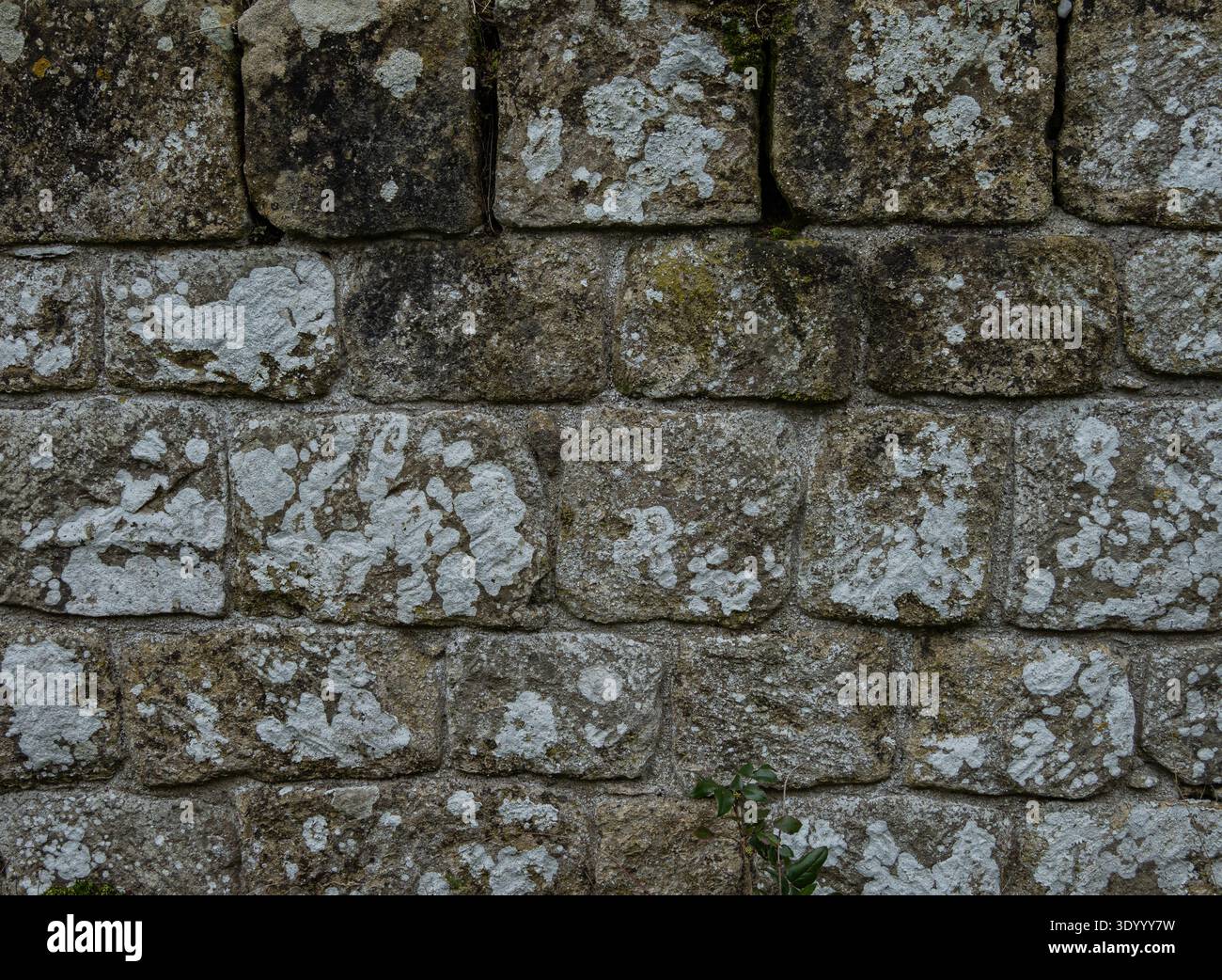 Ancient limestone block wall texture with natural stone masonry pattern ...