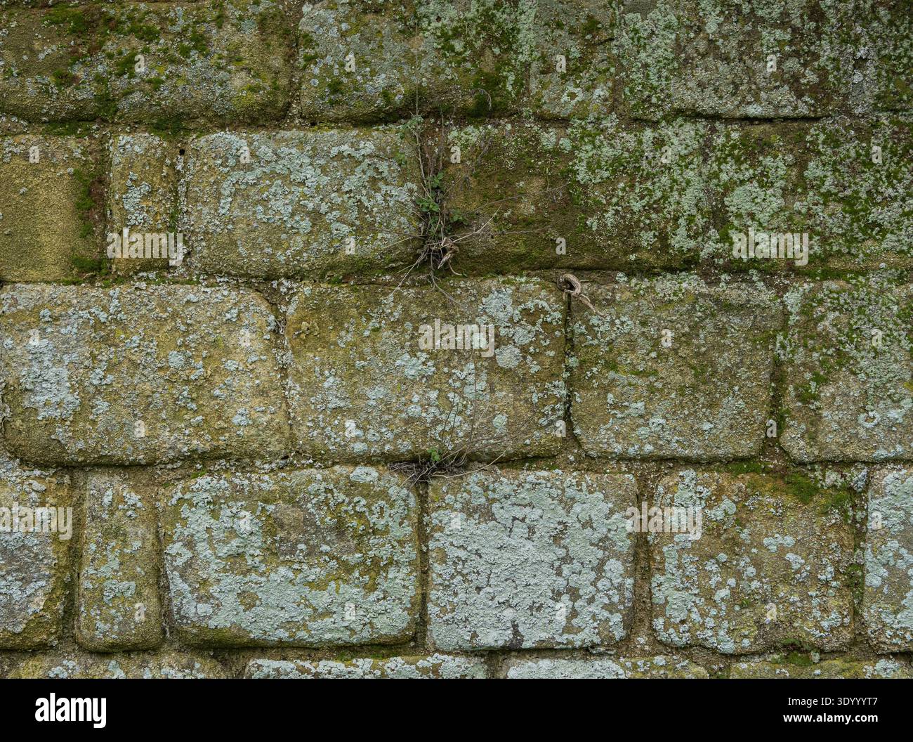 Ancient limestone block wall texture with natural stone masonry pattern ...