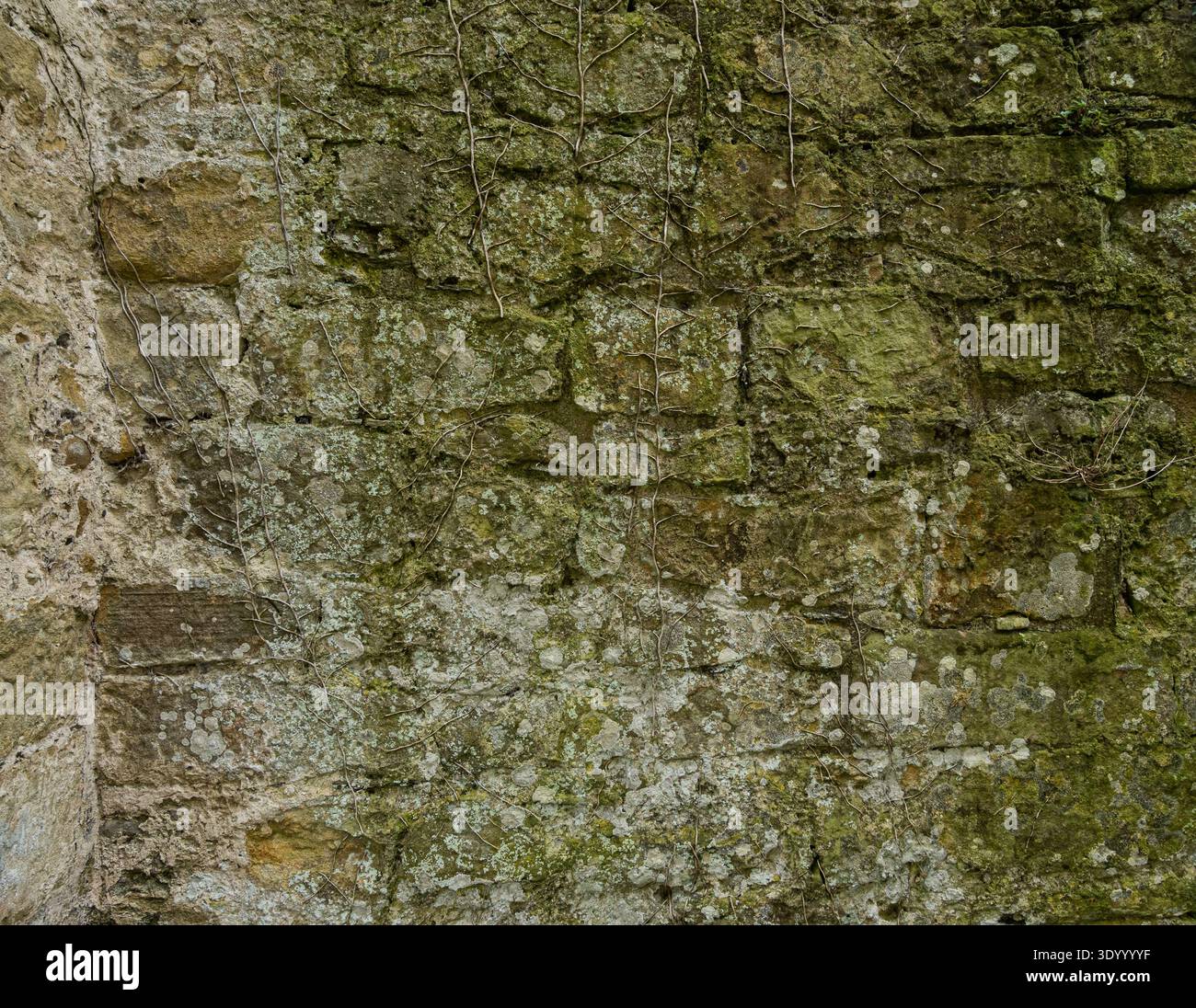 Ancient limestone block wall texture with natural stone masonry pattern ...