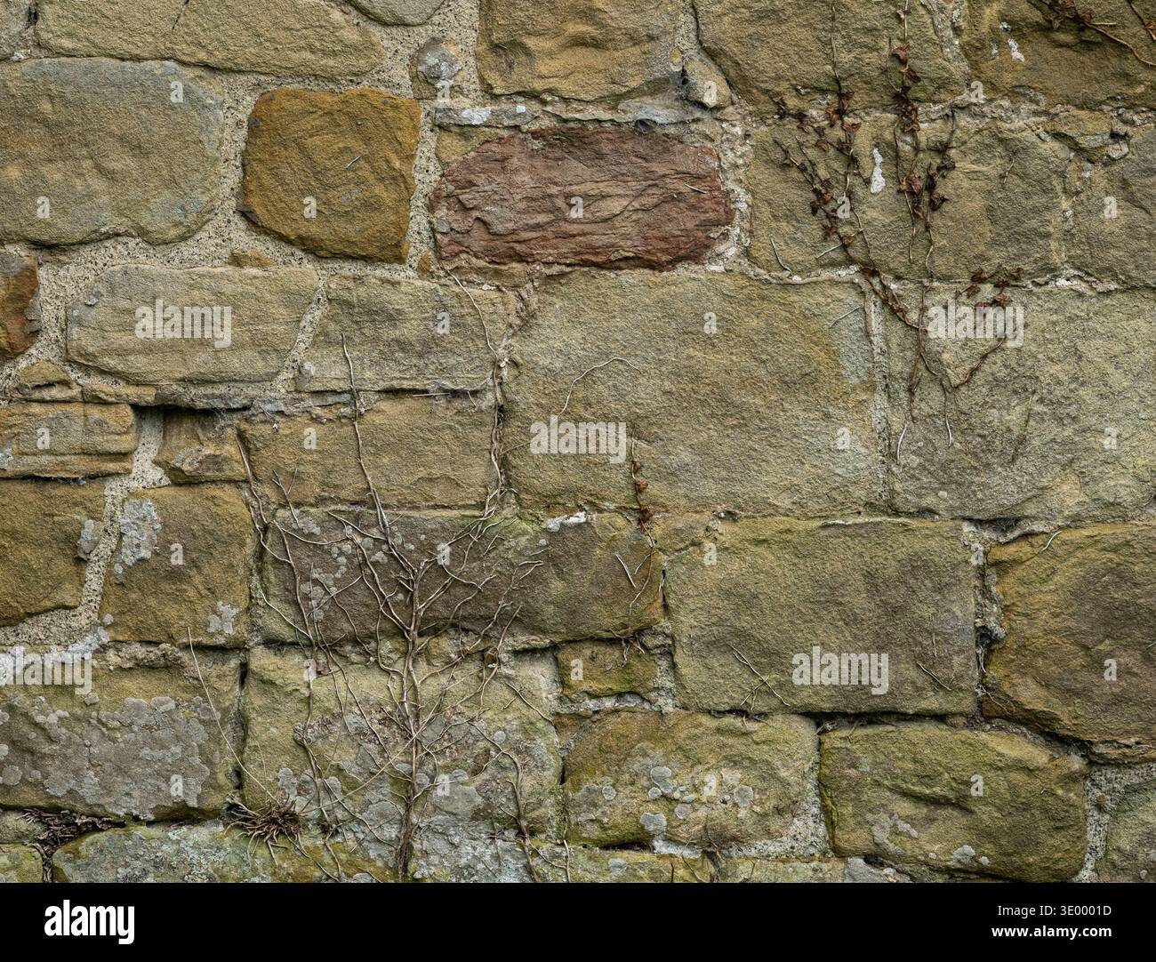 Ancient limestone block wall texture with natural stone masonry pattern ...