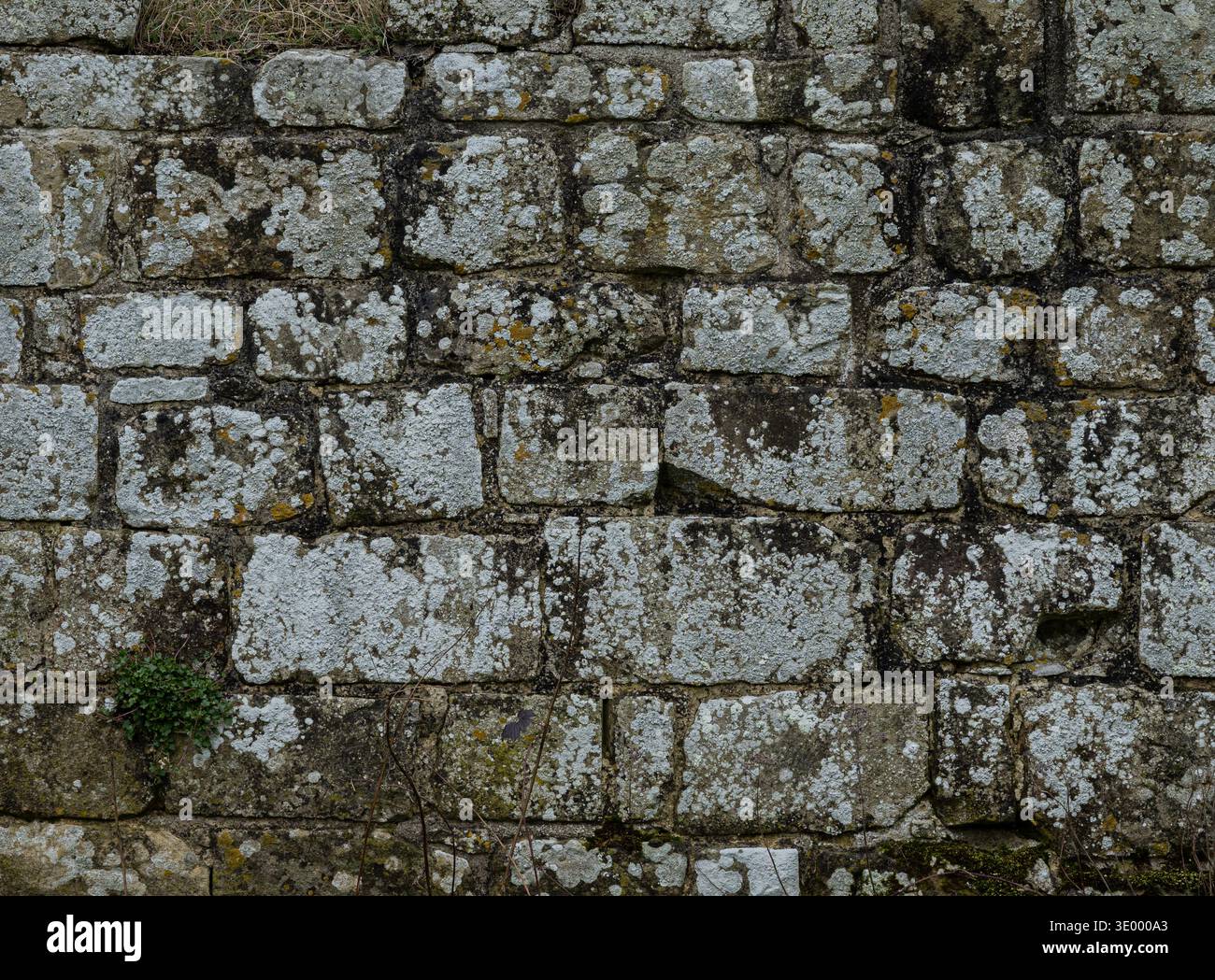 Ancient limestone block wall texture with natural stone masonry pattern ...