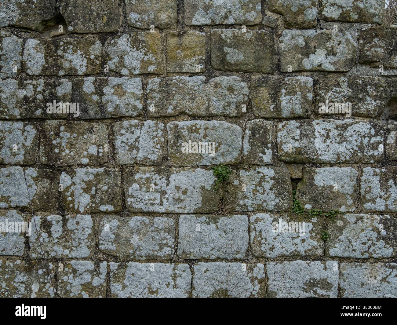 Ancient limestone block wall texture with natural stone masonry pattern ...