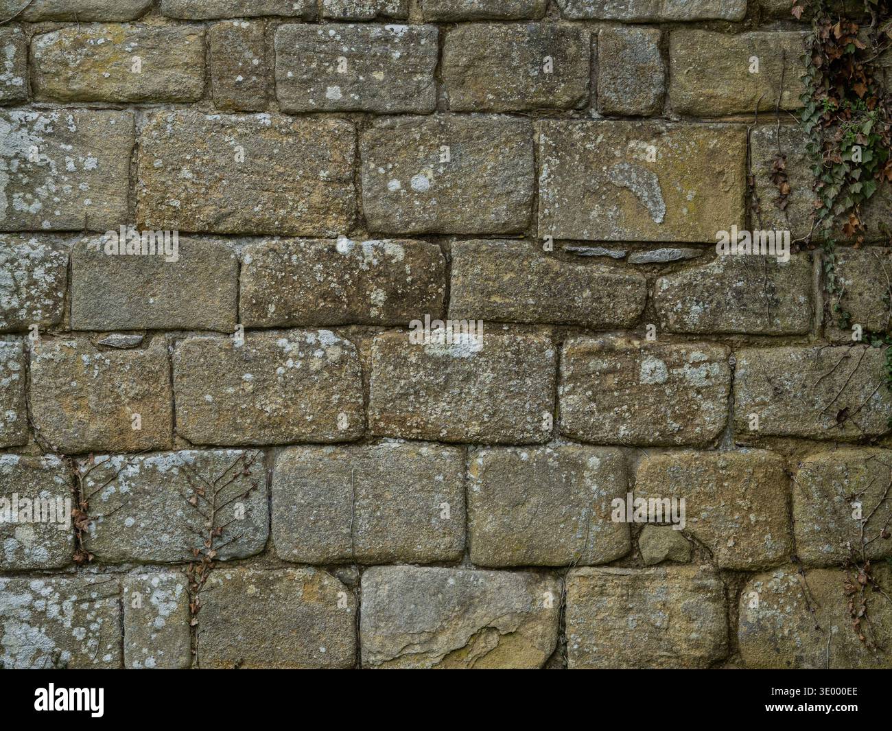 Ancient limestone block wall texture with natural stone masonry pattern ...