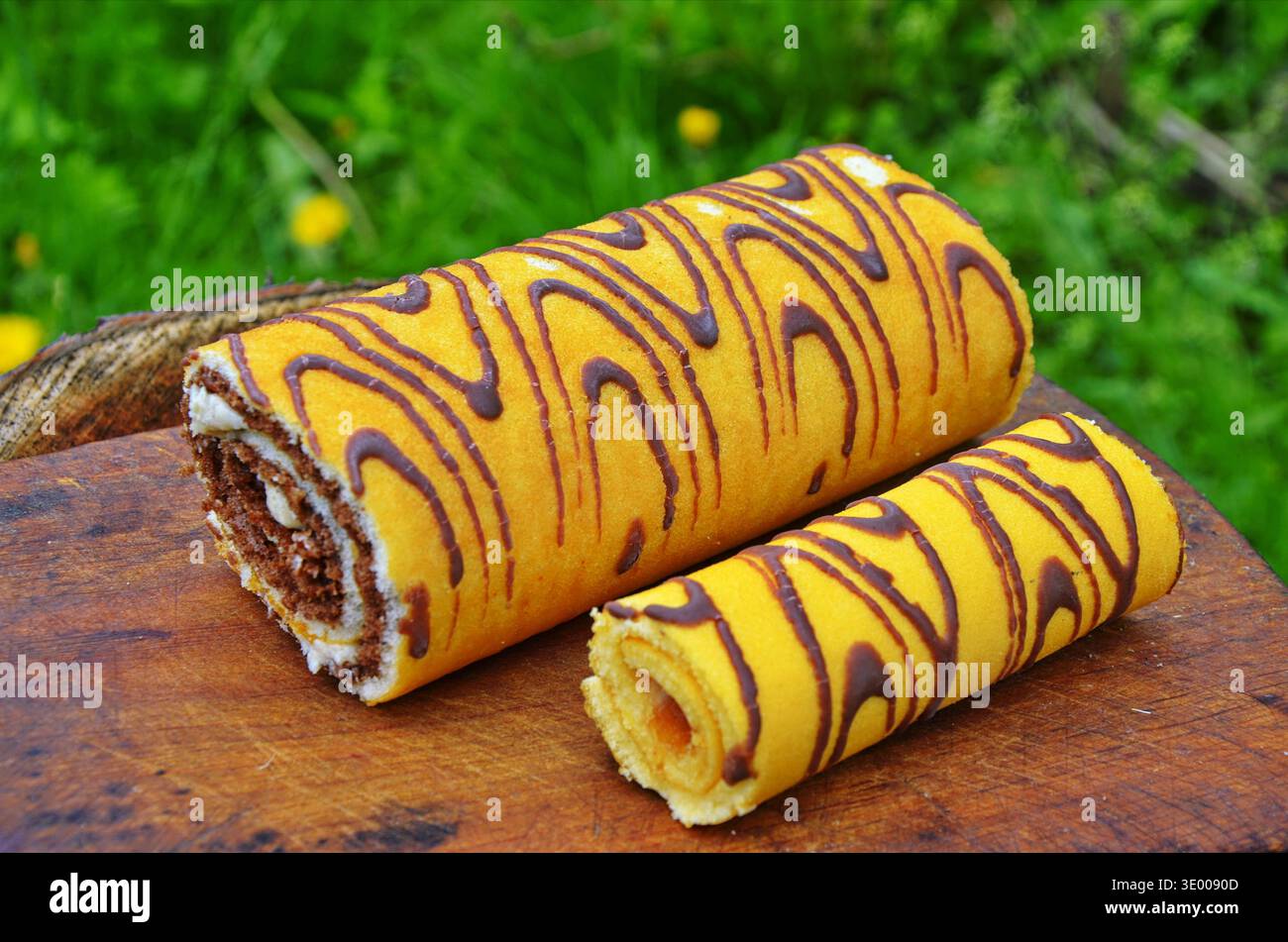 Attractive roll in chocolate and flowers. Stock Photo