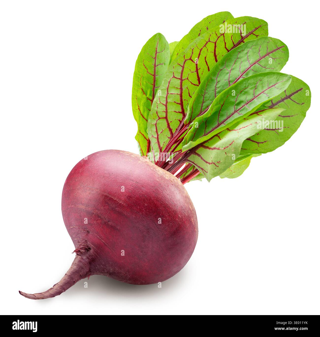 Raw red beetroot with beetroot leaves on white background. File contains clipping path. Stock Photo