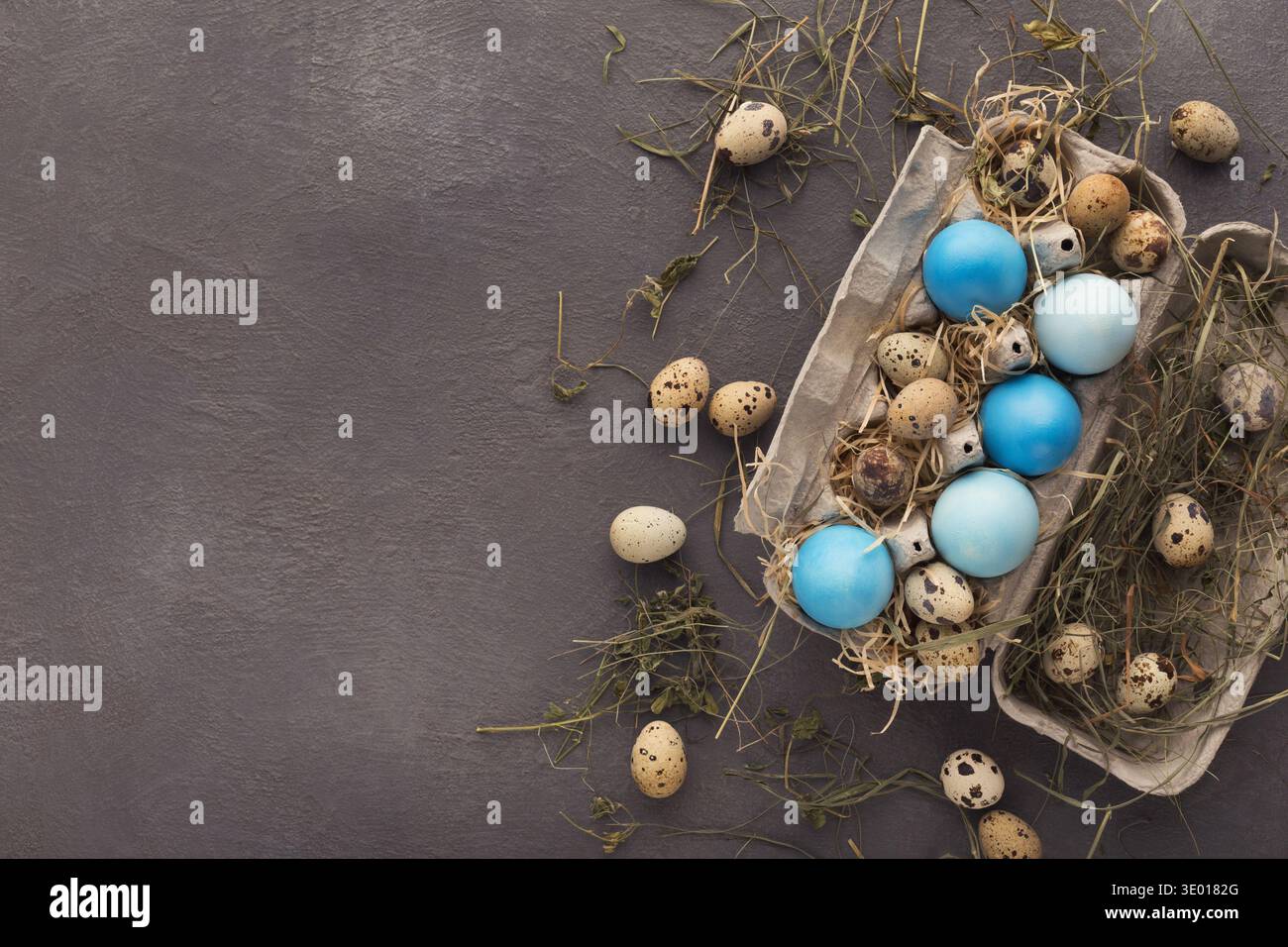Easter background. Colored eggs on gray stone surface Stock Photo
