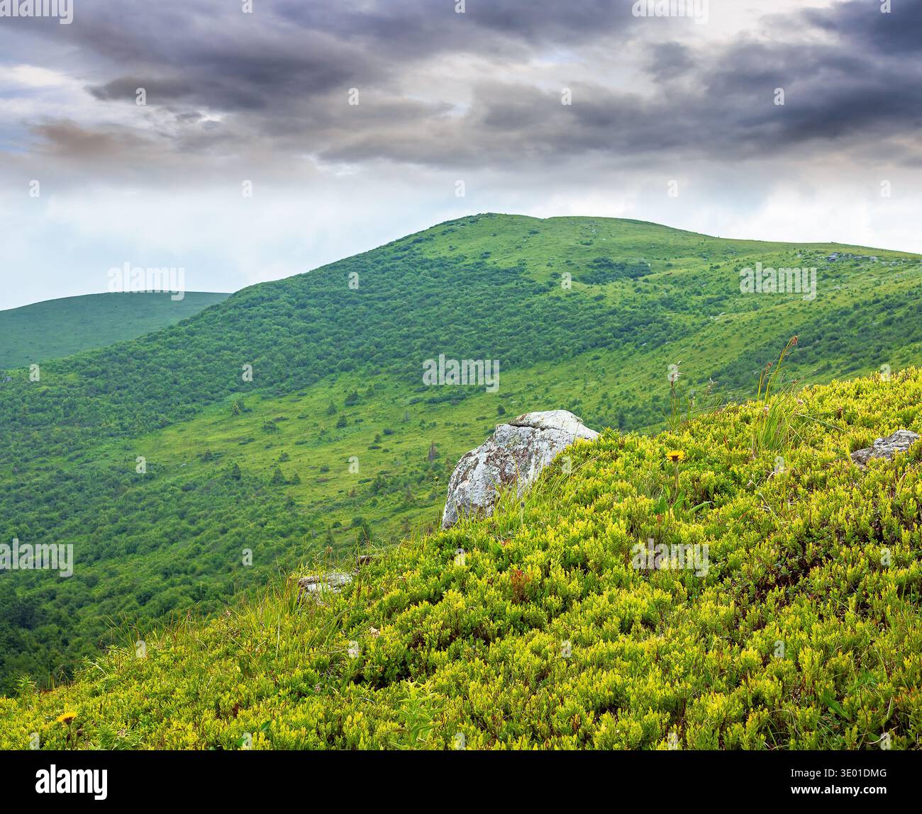 mountain landscape during summer. alpine meadows on green slopes and hills. amazing adventure scenery. cloudy weather. exploration of remote transcarp Stock Photo