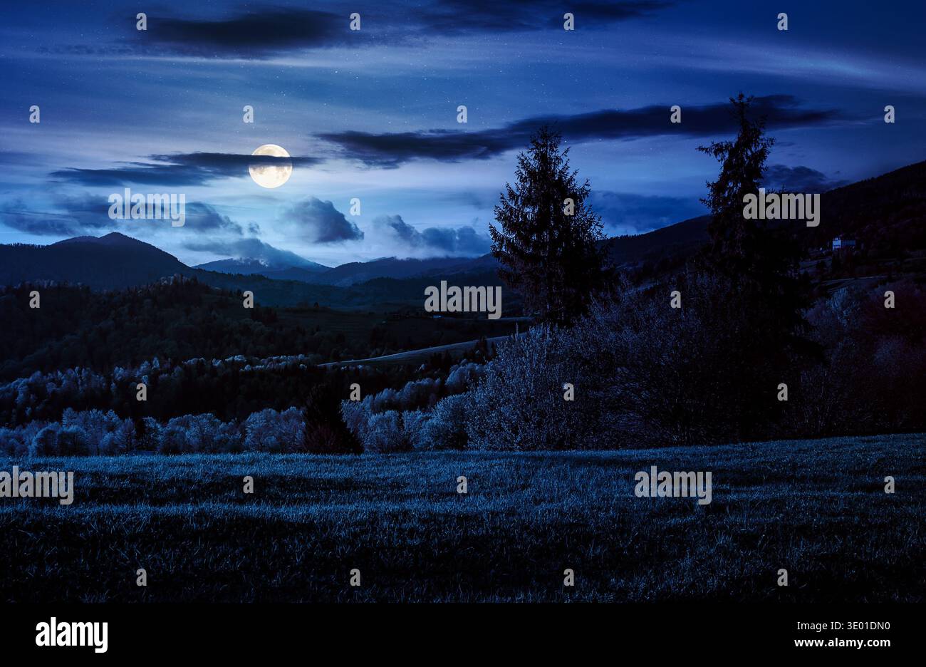 mysterious mountainous countryside landscape under cloudy sky at night. full moon over beautiful nature scenery with tall spruce trees near green gras Stock Photo