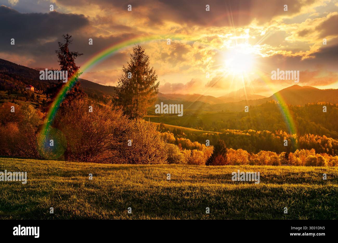 sunset over gorgeous mountainous countryside landscape under cloudy sky and rainbow. beautiful nature scenery with tall spruce trees near green grassy Stock Photo