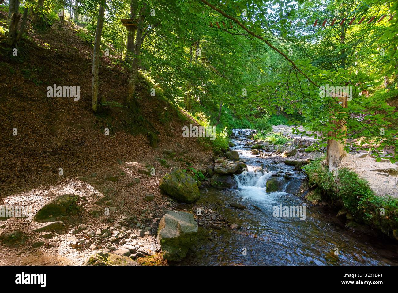 landscape with forest and a mountain river in front. beautiful nature scenery near the shypit waterfall in summer. peaceful outdoor environment in car Stock Photo