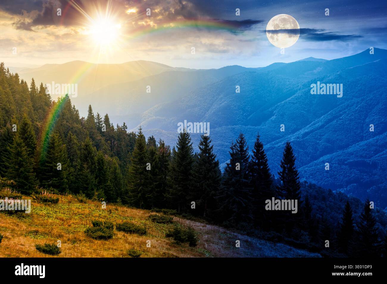 virgin coniferous forest in mountains. day and night time change concept. beautiful spruce trees on a steep slopes on autumn equinox with sun and moon Stock Photo
