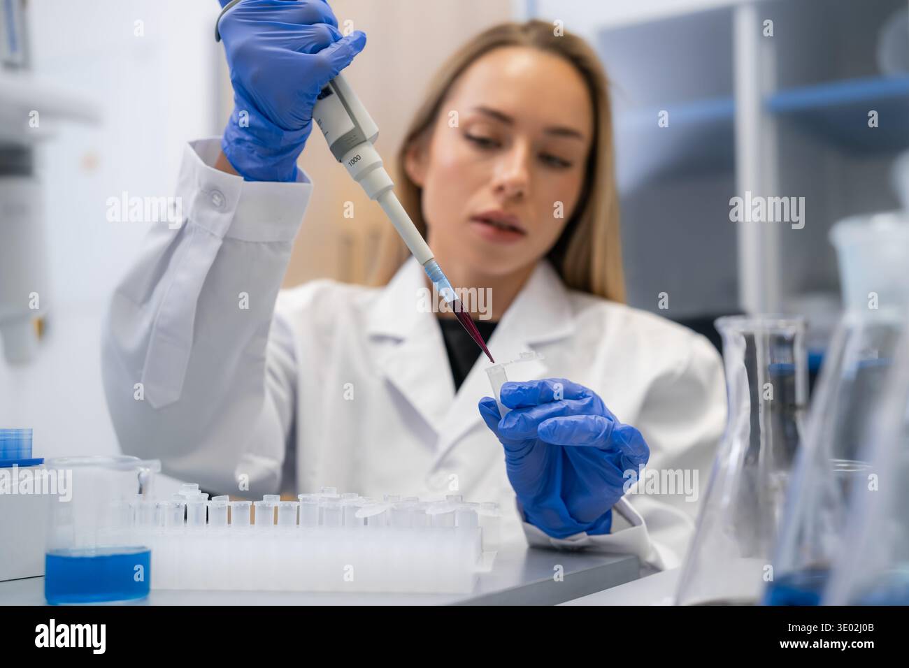 Laboratory technician using a micropipette to transfer colored liquid into microcentrifuge tubes at a clean research station. Stock Photo