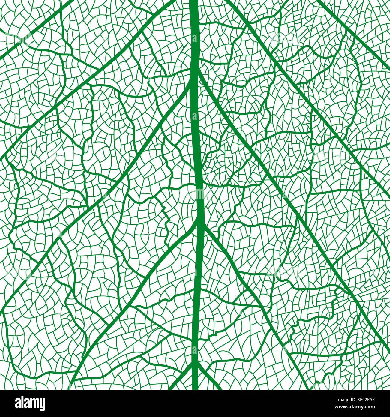 Green tree leaf veins texture pattern closeup Stock Vector