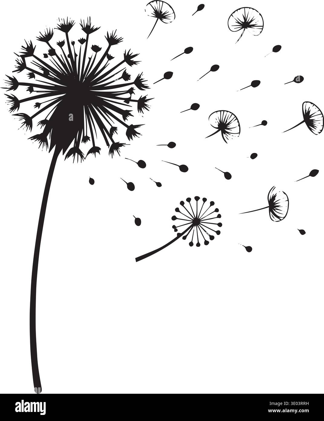 Black and white vector silhouette of a dandelion with seeds blowing in ...