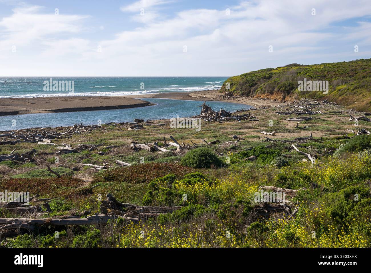 San Simeon, California. Stock Photo