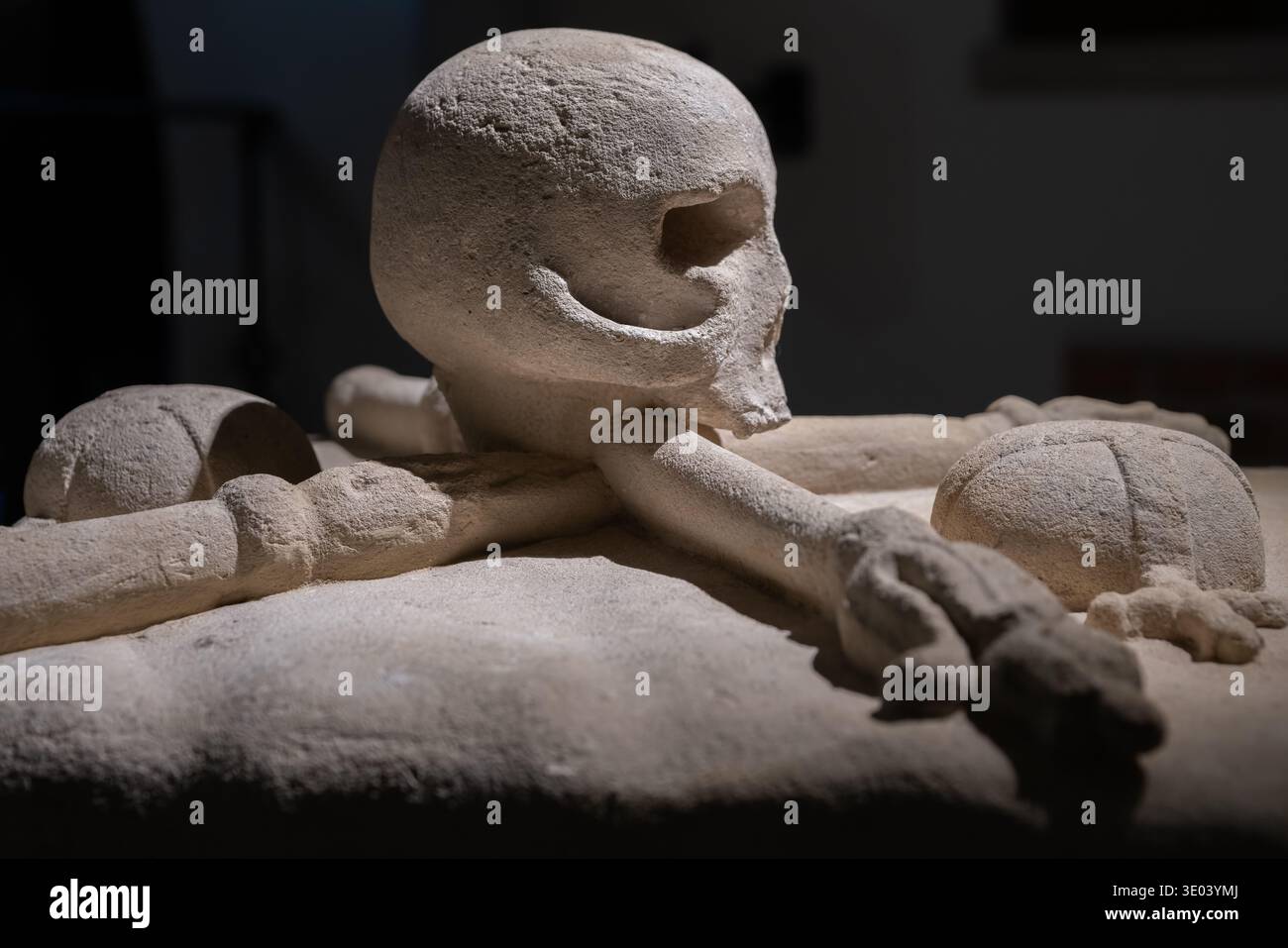 2019 Kraków, Poland, Wawel; a stone skull decorating the coffin lid; Ein steinerner Schädel ziert den Sargdeckel; calavera de piedra Stock Photo