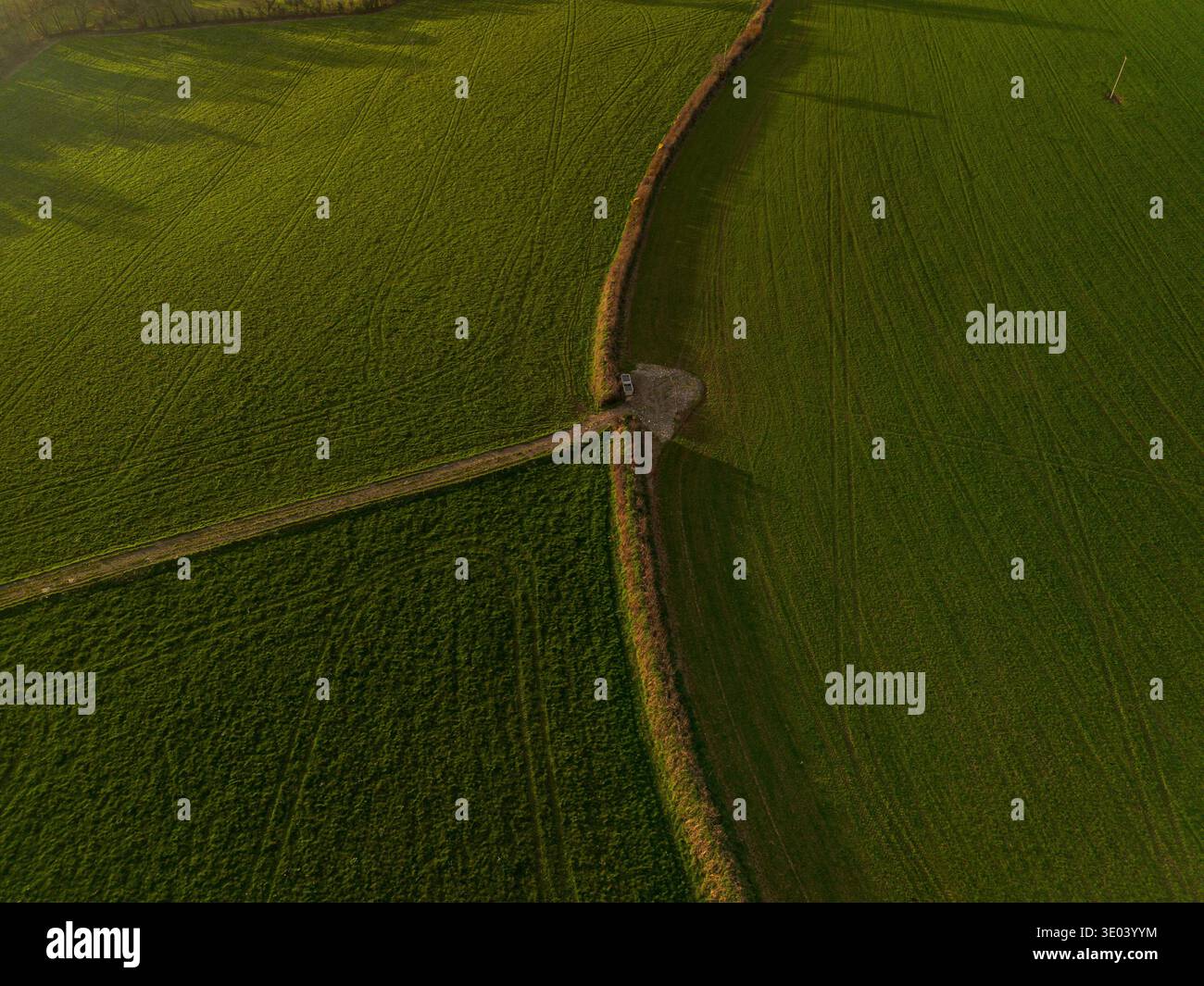 Aerial drone photograph looking directly down on a hedgerow and farm track intersection dividing green agricultural farmland fields in a rural country Stock Photo