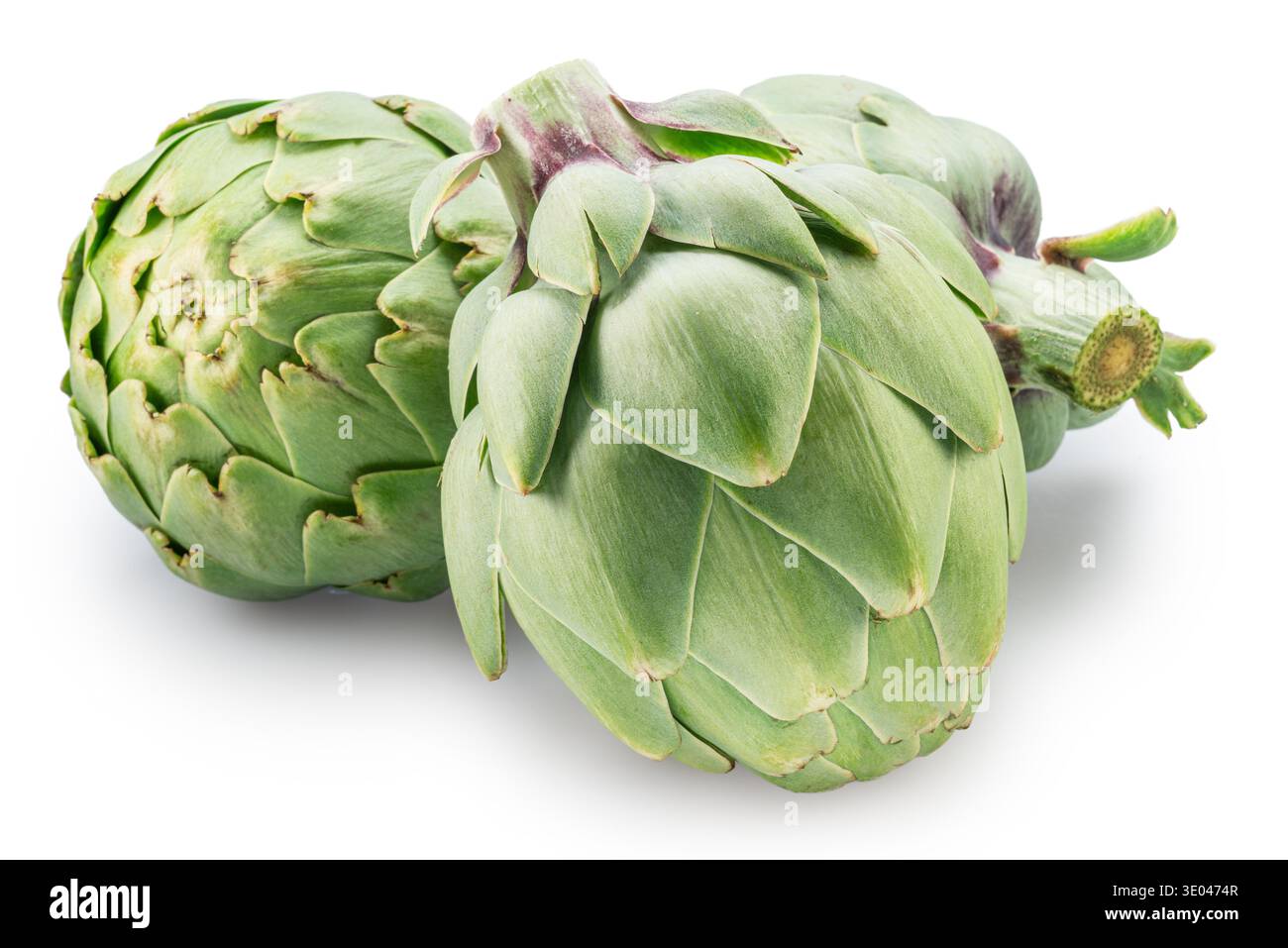 Three french artichokes isolated on white background. File contains clipping paths. Stock Photo