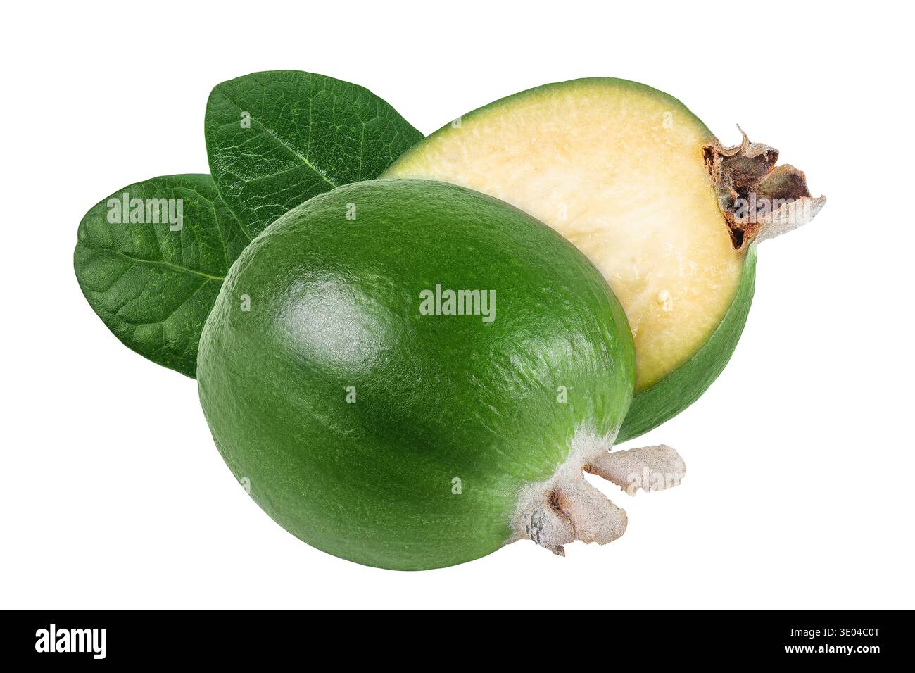 Feijoa fruit isolated on white background Stock Photo