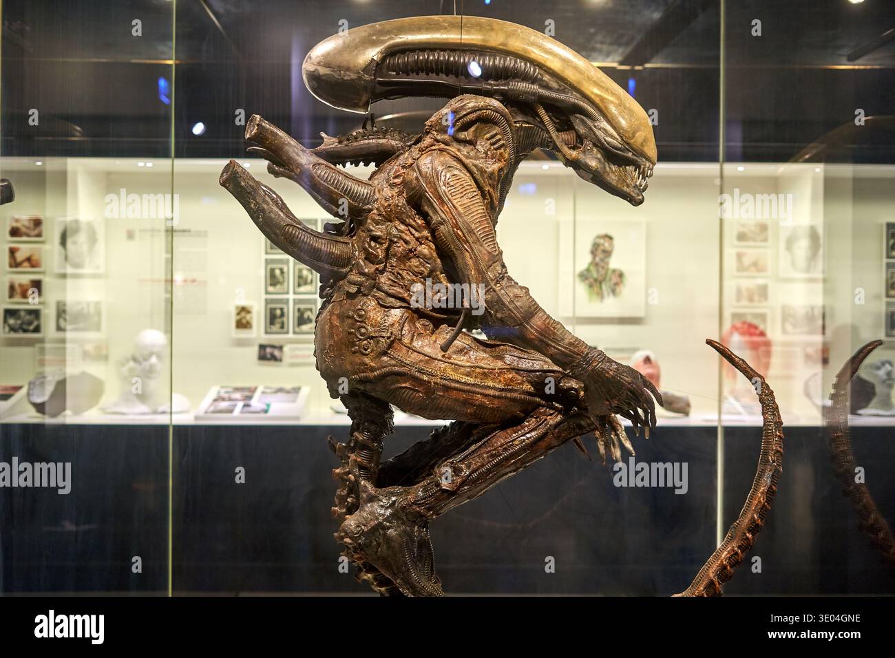 A detailed view of a life-sized Xenomorph alien statue from the Alien science fiction horror film franchise, displayed behind glass in a museum... Stock Photo