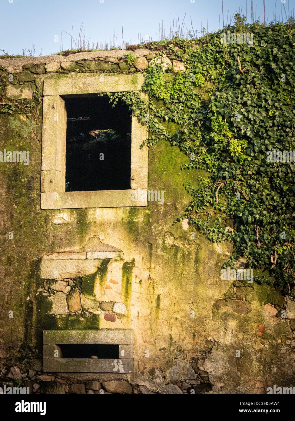 Ivy-Clad Abandoned Stone Window Stock Photo