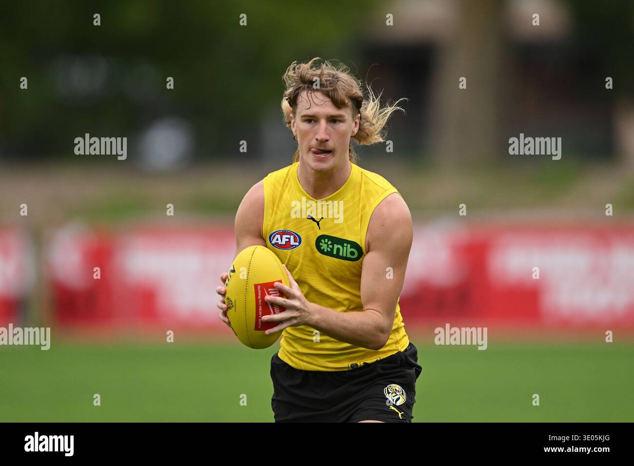 Hugo Ralphsmith Hugo Ralphsmith of Richmond in action during a Richmond Tigers AFL ...