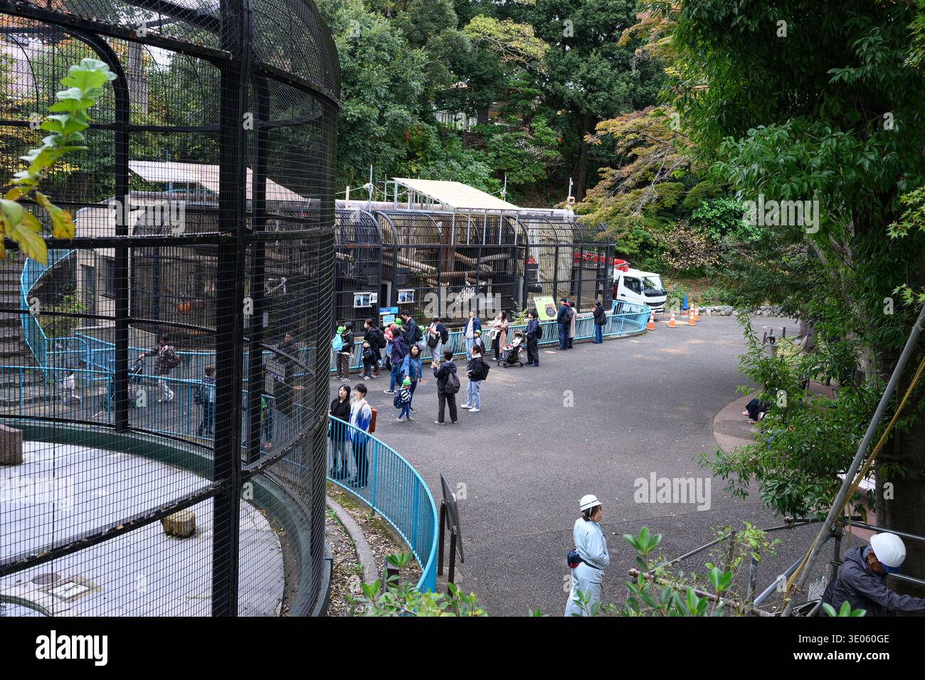 Inside Nogeyama Zoological Gardens (Nogeyama Zoo) - Yokohama, Japan - 12 November 2025 Stock Photo