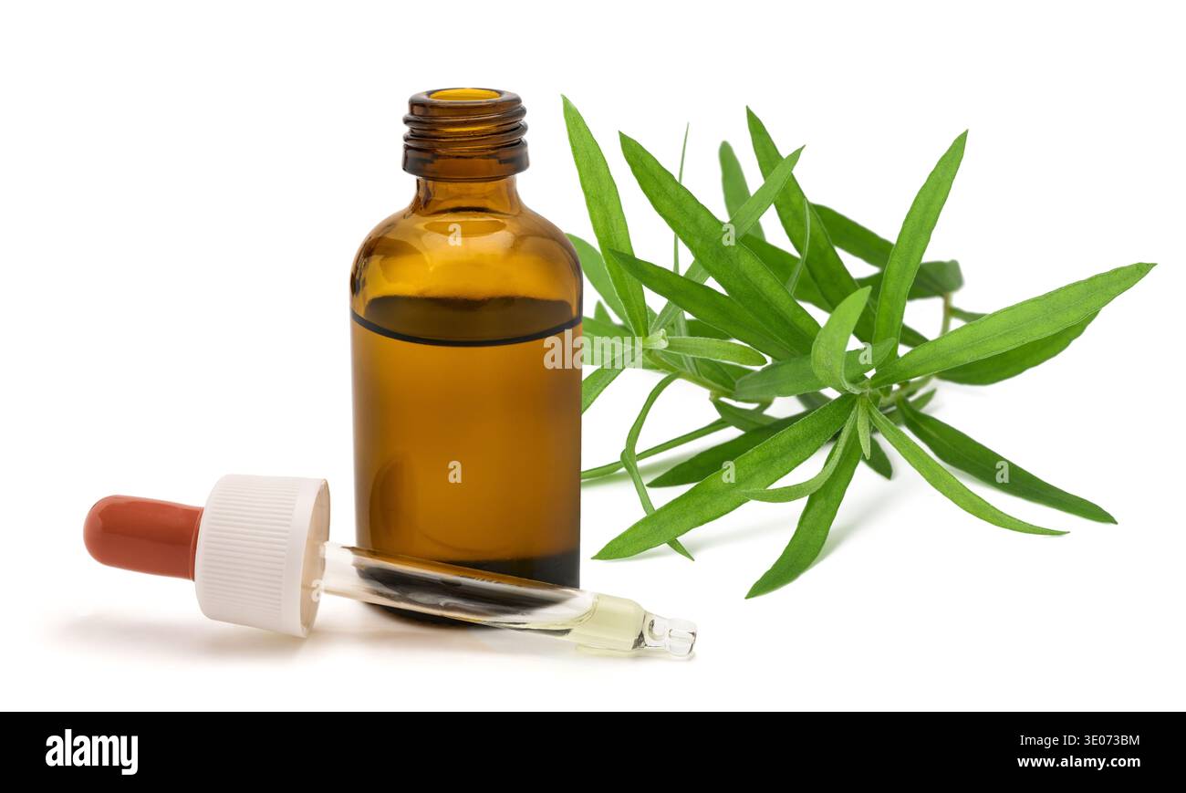 Artemisia dracunculus (tarragon) essential oil bottle with glass dropper isolated on white background. Herbal extract used in aromatherapy, herbal med Stock Photo