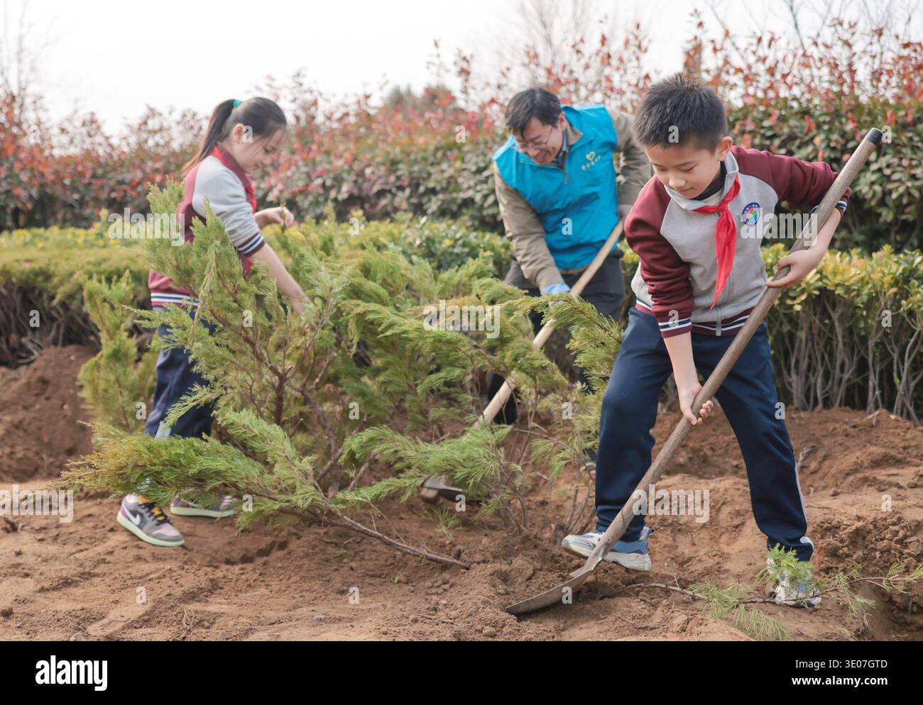 Students tree planting hi-res stock photography and images - Alamy
