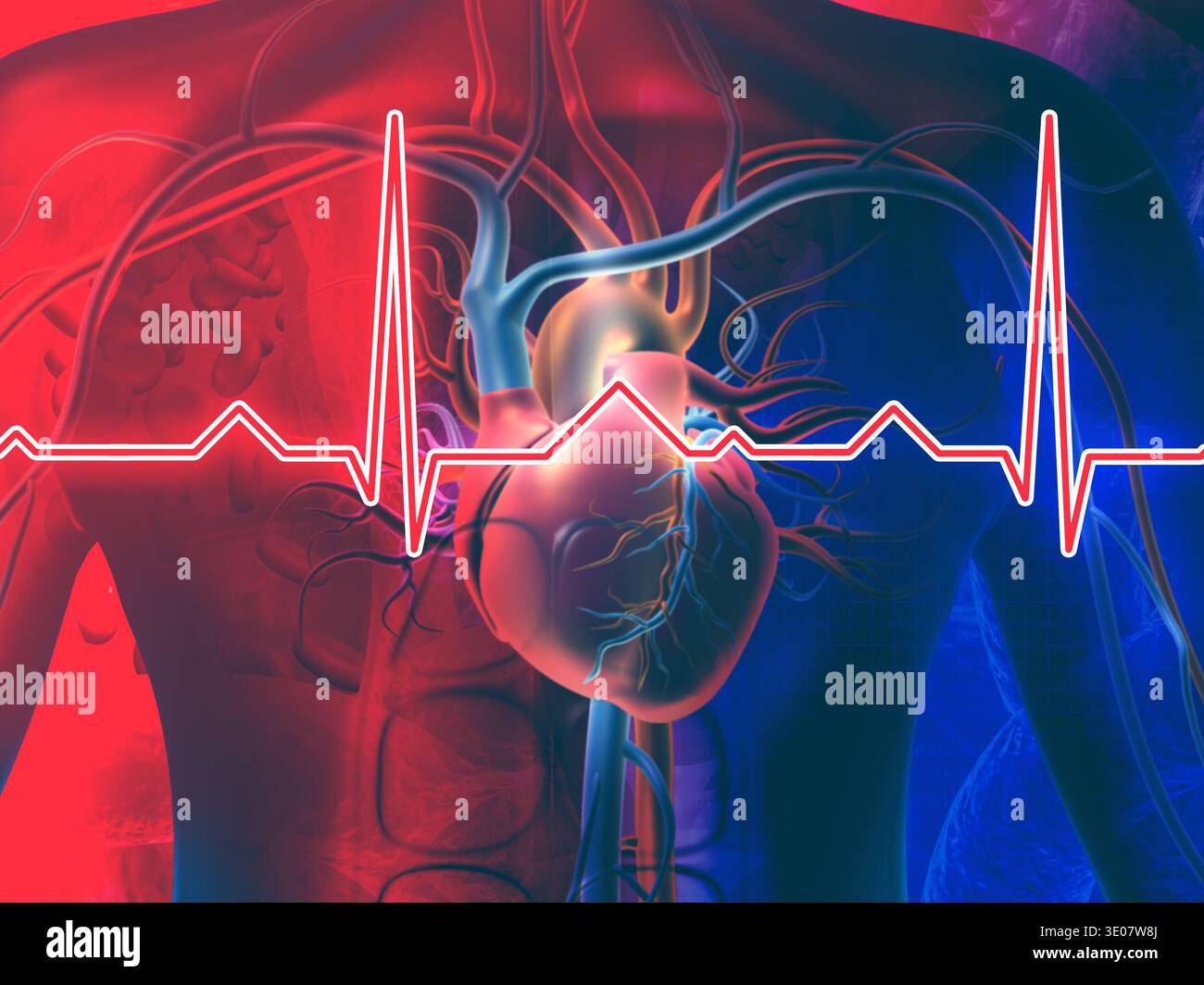 Human heart with normal heartbeat rhythm. 3d illustration Stock Photo ...