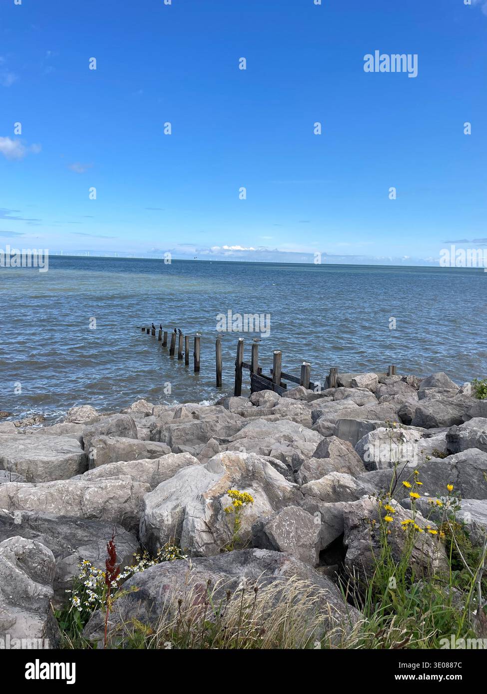 Rocky shoreline with wooden groynes extending into the sea under a clear blue sky, calm coastal landscape - Smartphone Captured Stock Image