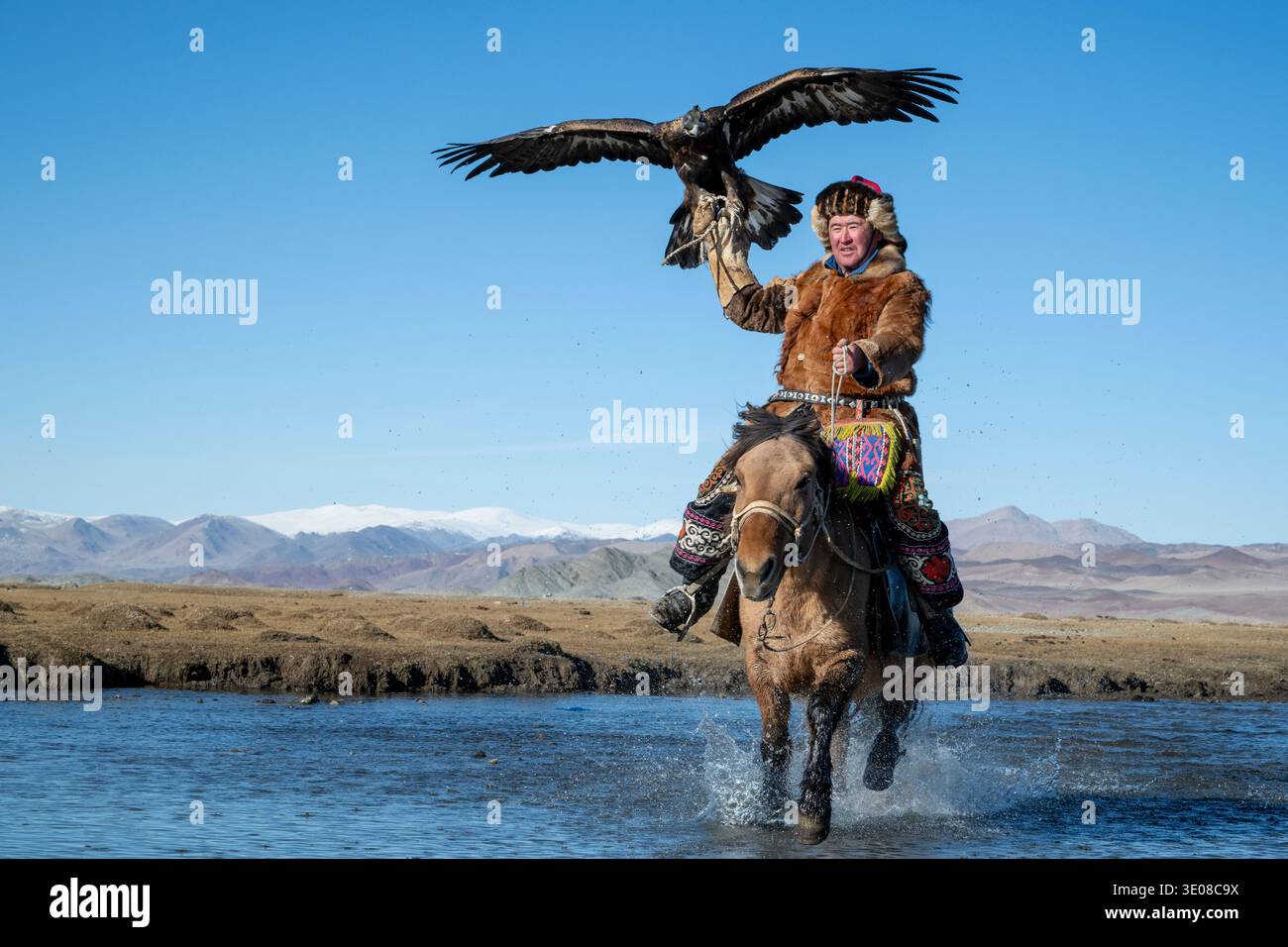 Mongolian eagle hunter (berkutchi) riding a horse in a river with a blindfolded golden eagle, Altai Mountains, Bayan-Olgii, Western Mongolia, Mongolia Stock Photo
