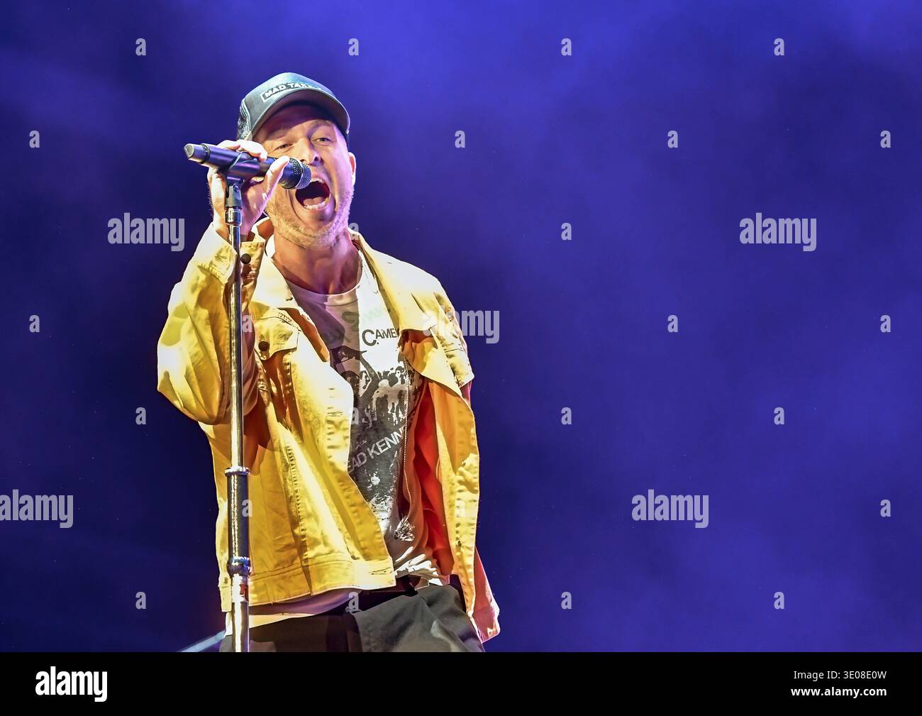 OneRepublic ワンリパブリック Ryan Tedder ギターピック 【公式通販】