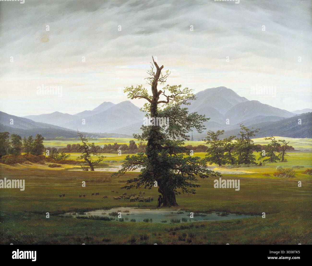 This captivating oil on canvas painting, "The Lonely Tree" (Der einsame Baum), was created by the German Romantic landscape painter Caspar David Friedrich in 1822. It depicts a majestic, ancient oak tree dominating a vast, pastoral landscape with distant mountains, a small pond, and grazing sheep, embodying the sublime and contemplative mood characteristic of his work. Stock Photo
