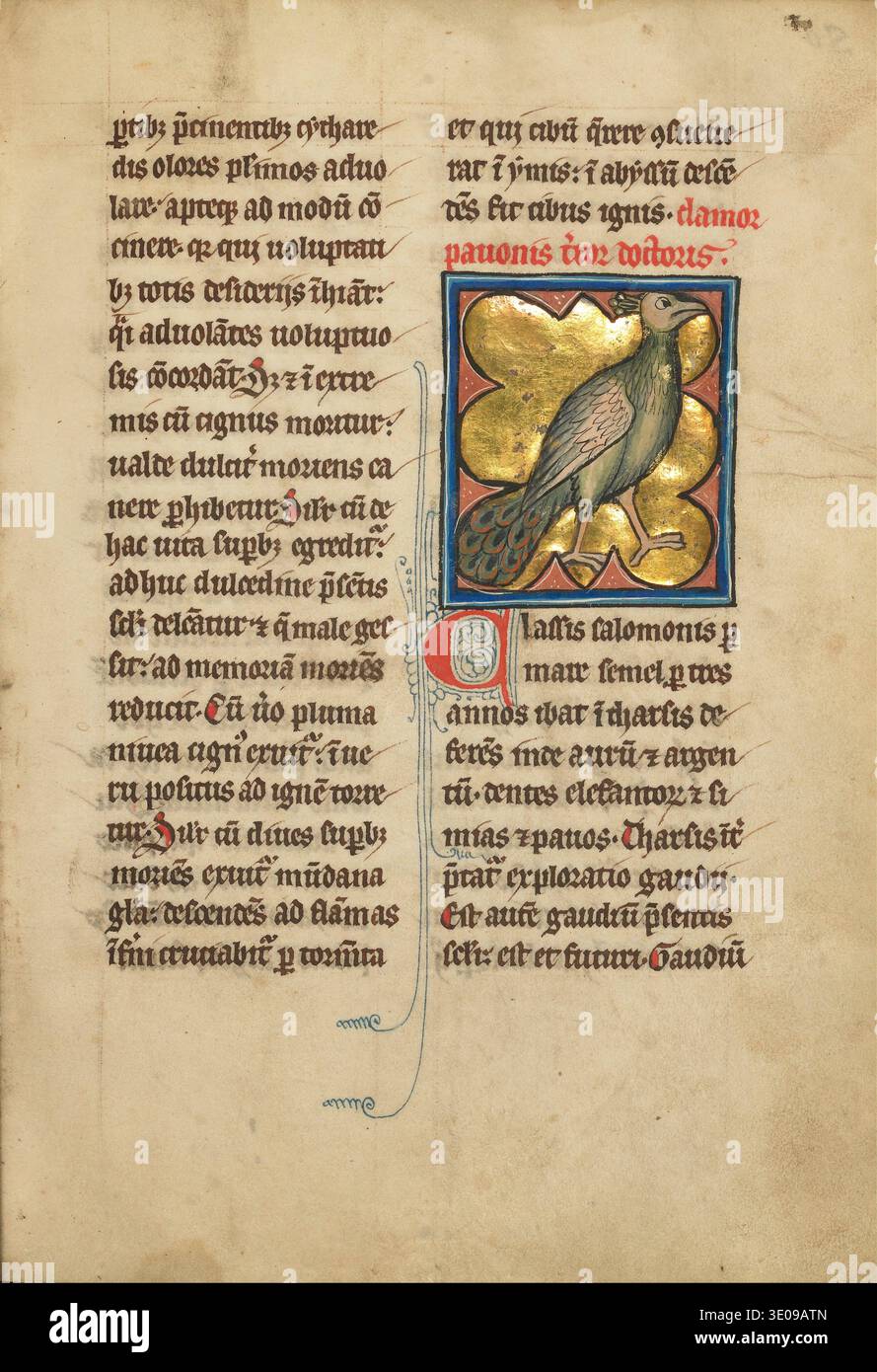 Medieval illuminated manuscript border hi-res stock photography and ...