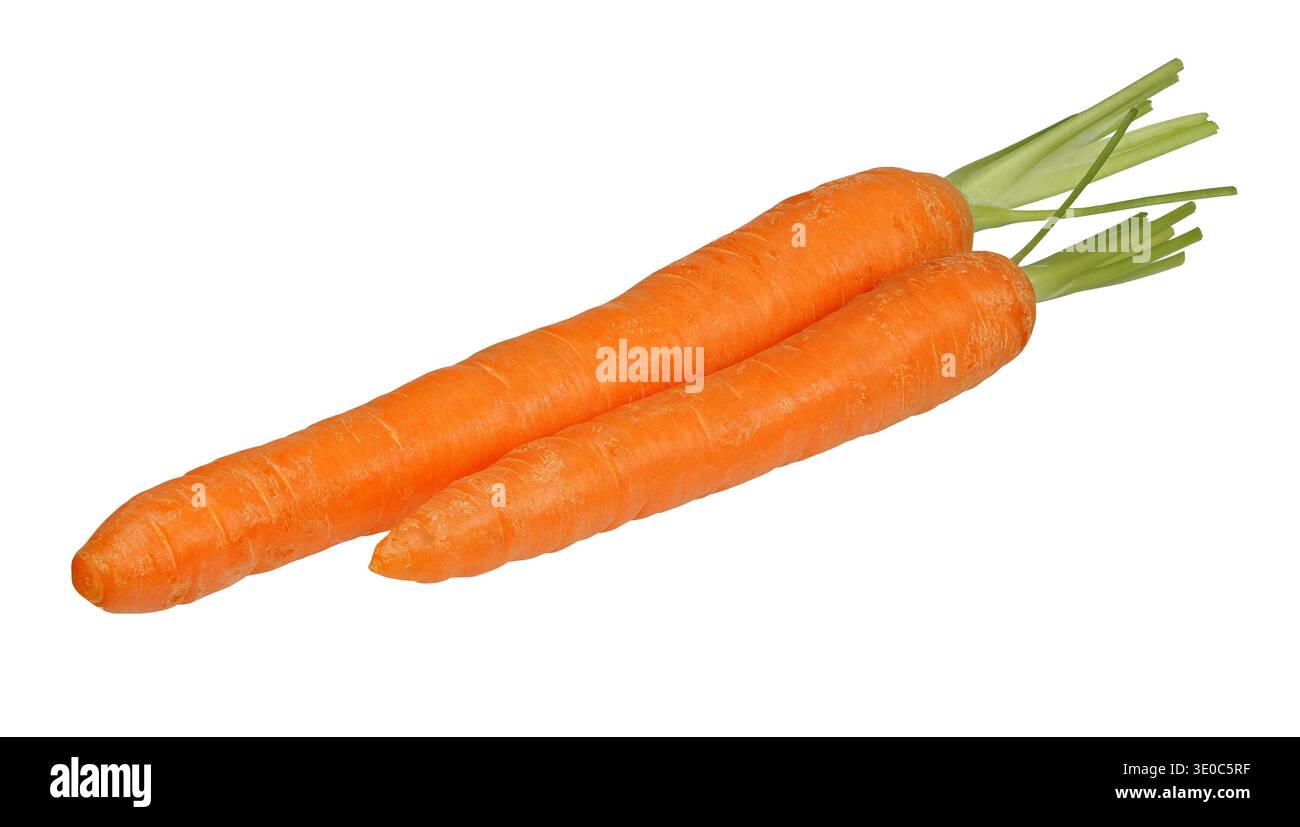 Two fresh carrots isolated on white background Stock Photo