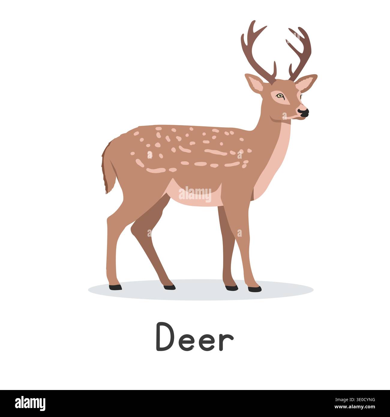 Axis deer vector illustration, cartoon clipart character, animal in flat style. Wild animals, wild creatures, wildlife concept. Chital or spotted deer Stock Vector