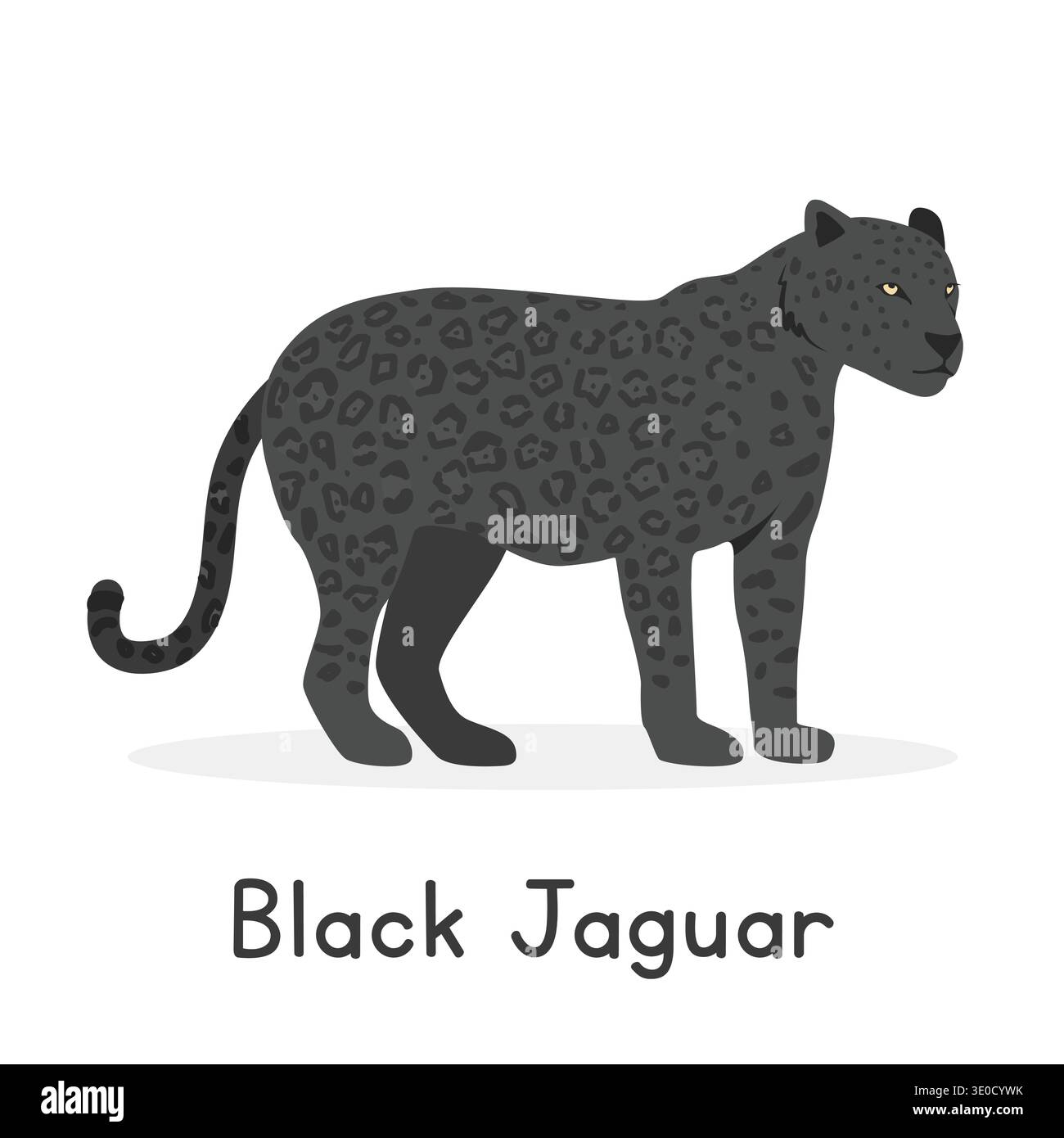 Black jaguar or black panther vector illustration, cartoon clipart ...