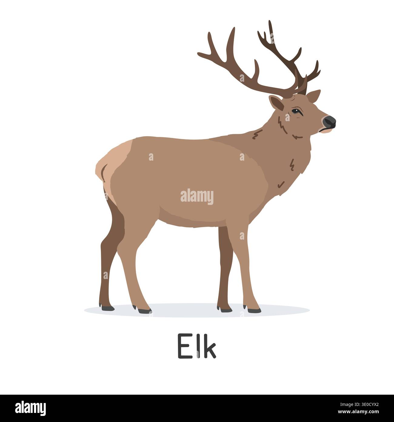 Elk or wapiti vector illustration, cartoon clipart character, animal in ...