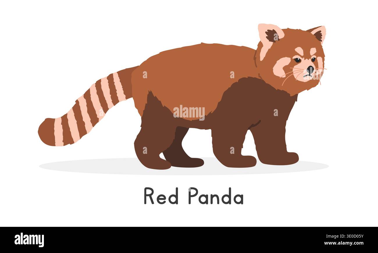Red panda vector illustration, cartoon clipart character, animal in flat style. Wild animals, wild creatures, wildlife concept. Cute lesser panda Stock Vector