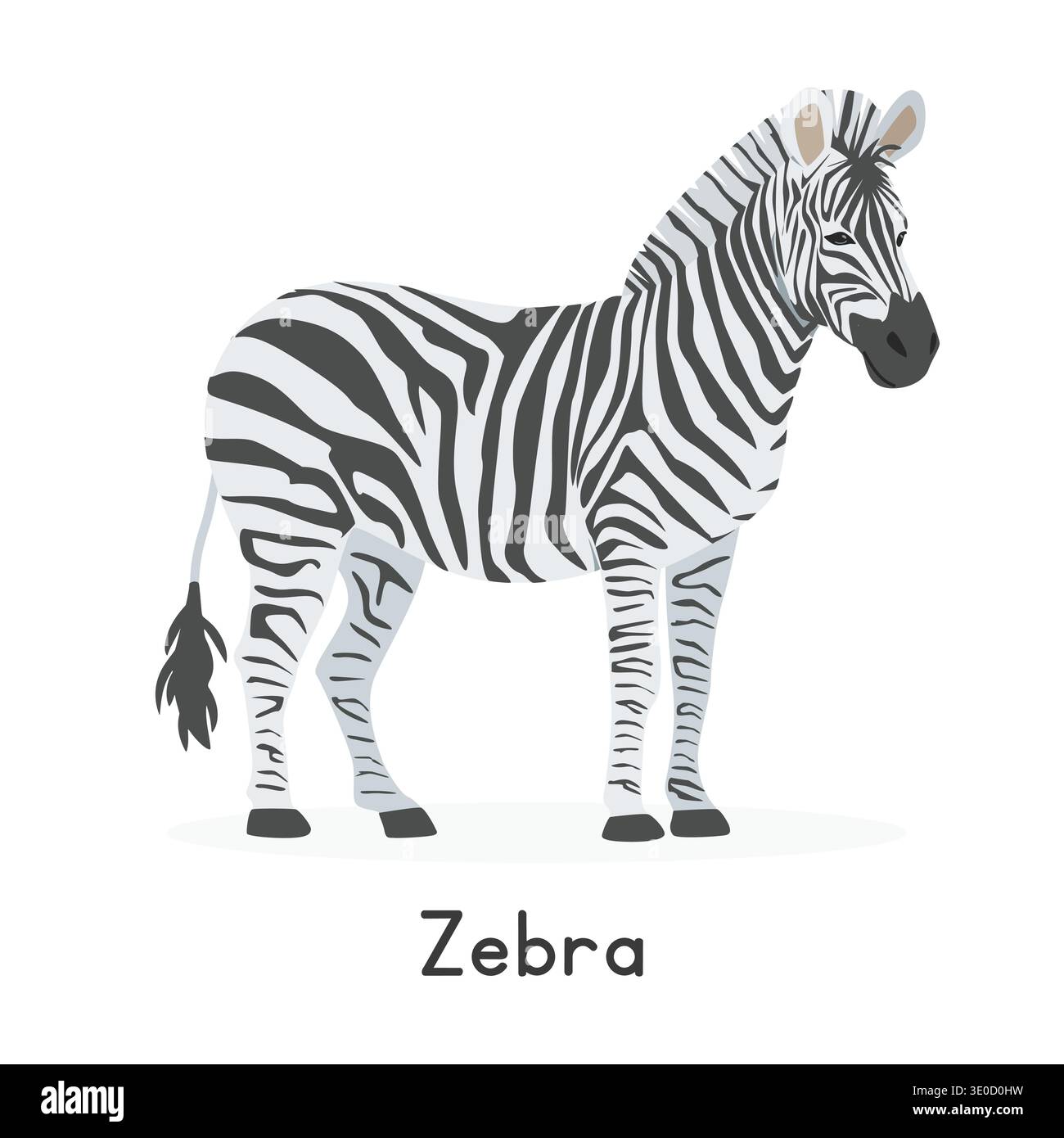 Zebra vector illustration, cartoon clipart character, animal in flat ...