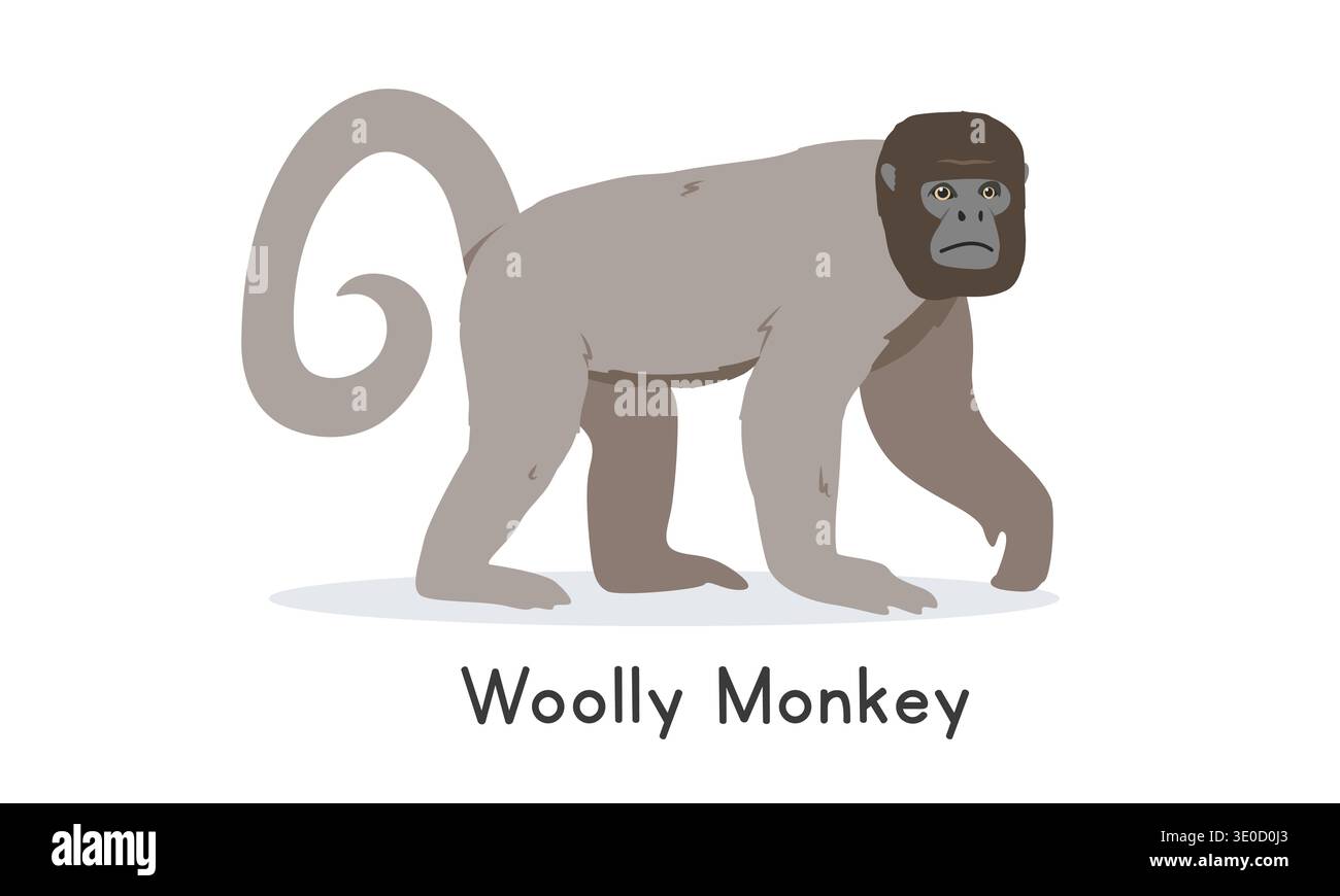 Prairie Monkey Common woolly monkey vector illustration, cartoon clipart character ...