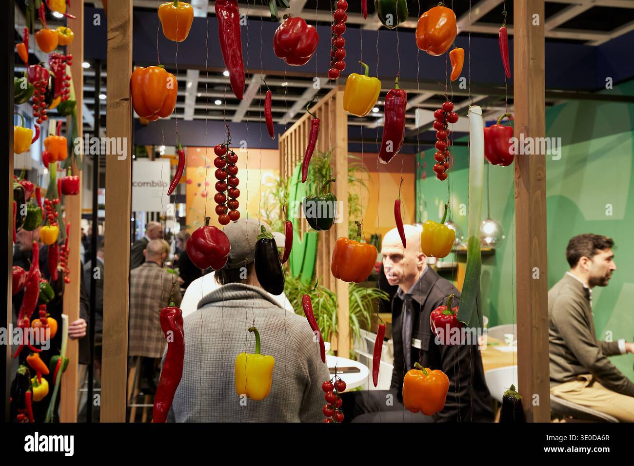 05.02.2026, Germany, Berlin, Berlin - Trade visitors exchange ideas at a trade fair stand at Fruit Logistica. Various types of vegetables hanging on w Stock Photo