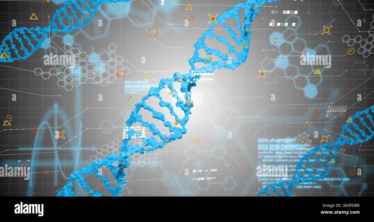 Displaying central blue DNA helix rotating in virtual genomics interface, with data panels Stock Photo