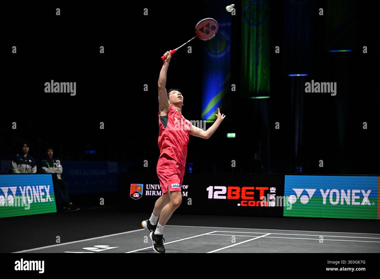 What Happened in the Quarterfinals? What Happened in the Quarterfinals?