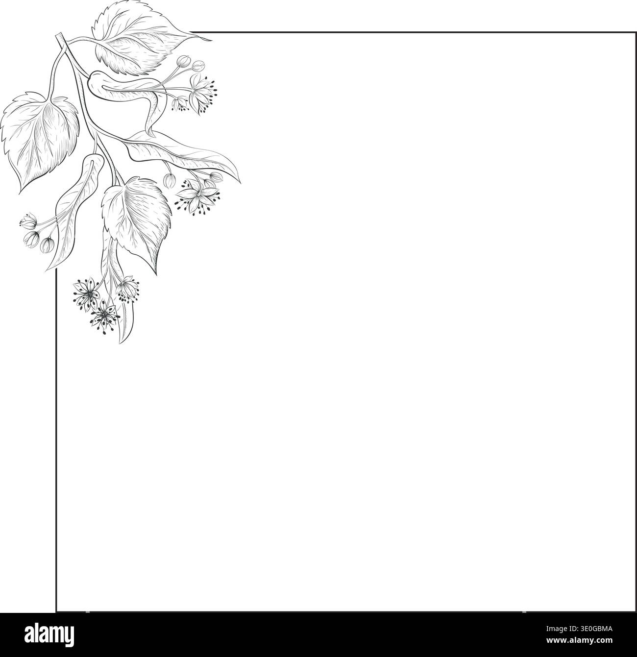 Elegant Vector frame with flower floral elements. Frame with botanical decorative elements. Stock Vector