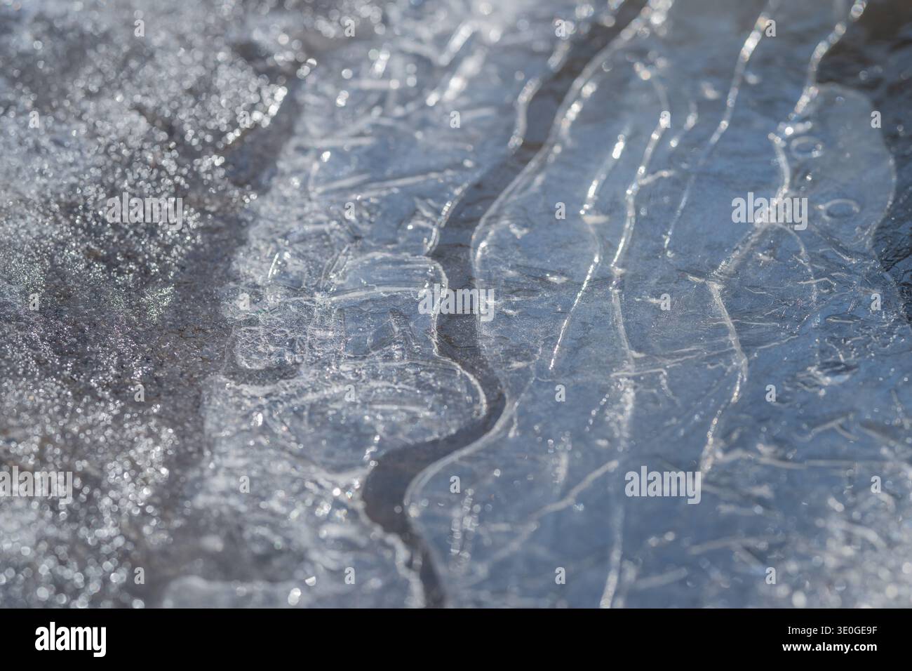 Paperlike membrane hi-res stock photography and images - Alamy