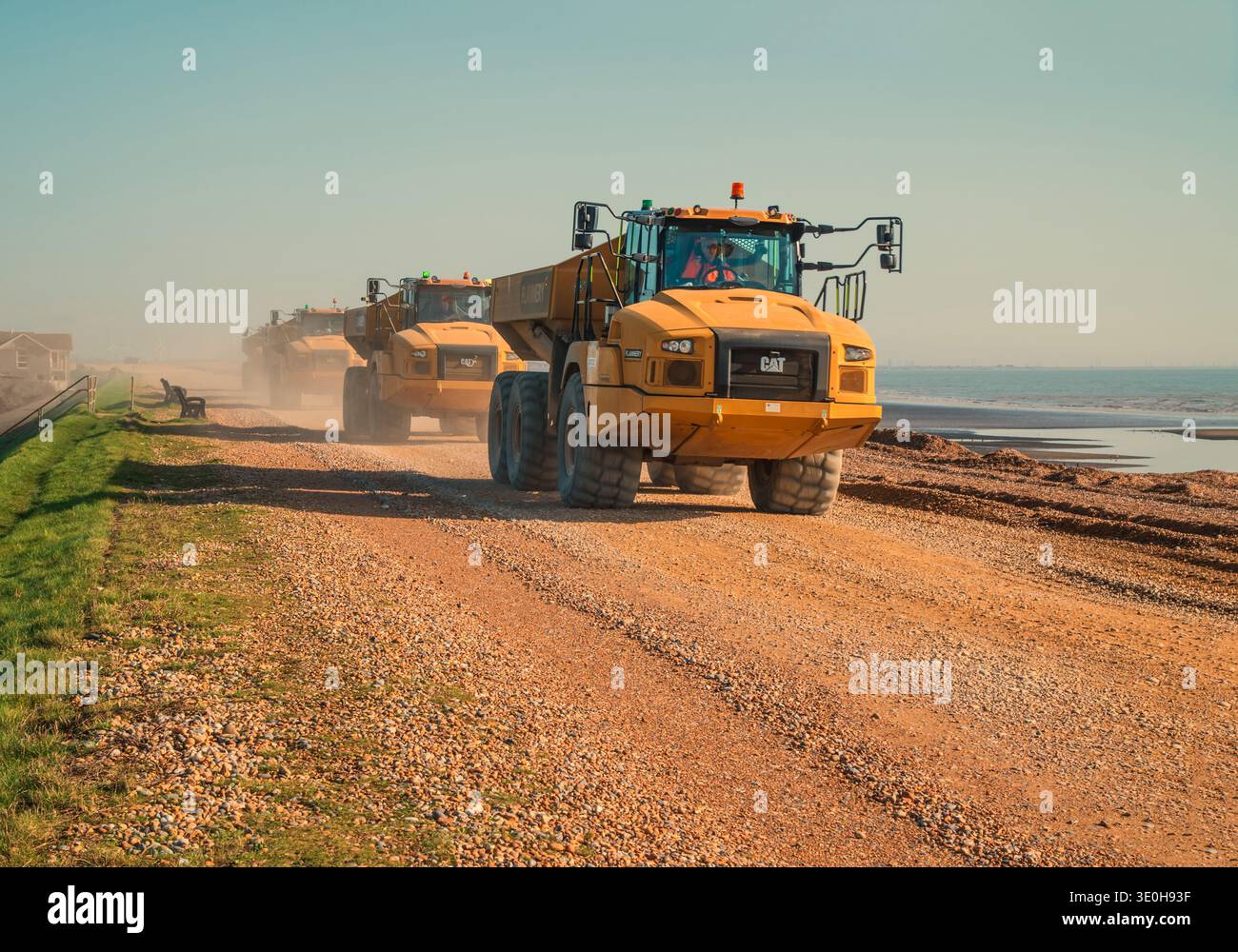 A convoy of yellow CAT articulated dump trucks moves along a gravel ...