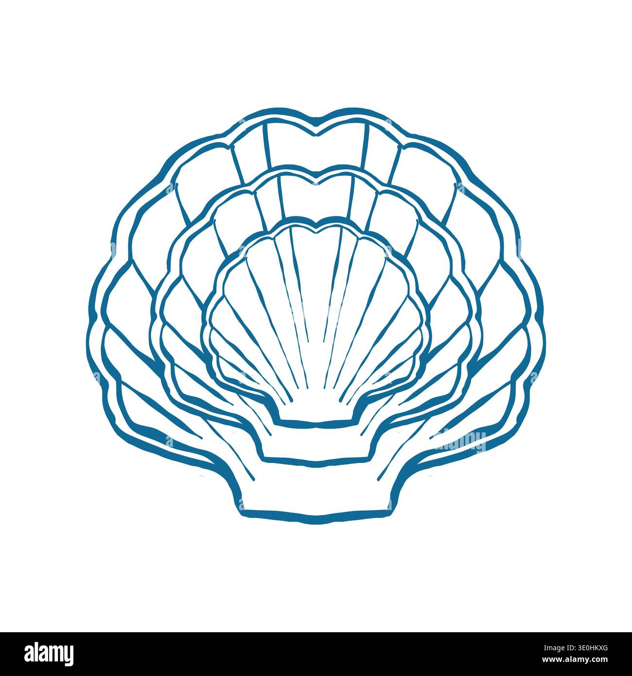 A composition of flat, doodle-style shells. A set of shell-shaped plates. Table setting in a coastal wedding style. Hand-drawn vector outline illustration isolated on a white background. Stock Vector